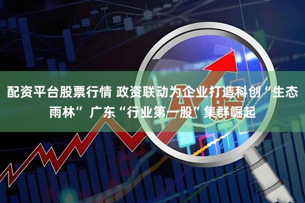 配资平台股票行情 政资联动为企业打造科创“生态雨林” 广东“行业第一股”集群崛起