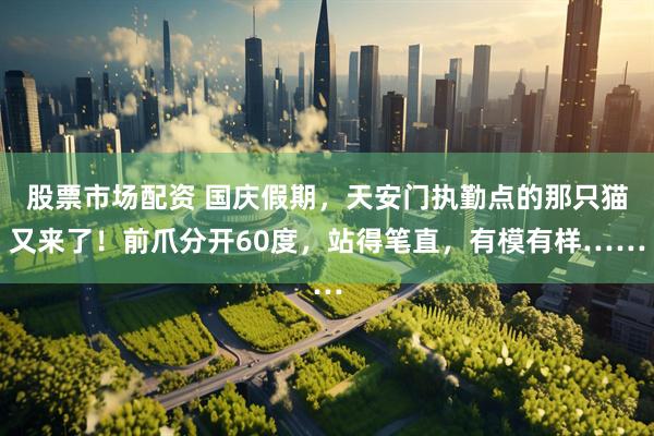 股票市场配资 国庆假期，天安门执勤点的那只猫又来了！前爪分开60度，站得笔直，有模有样……